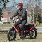 Trivelo image 4