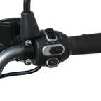 Tectus Scope 2026 image 10